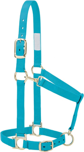 Produits équestres en gros, licols pour chevaux en nylon réglables, matériau souple, logo personnalisé, meilleure qualité avec OEM ODM - Product Image 6