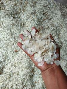 Escamas de Pescado, Oferta Especial, Materia Prima Marina Premium, OEM ODM Vietnam - Product Image 3