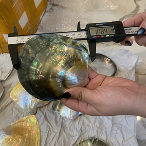 แผ่นเปลือกหอยมุกเวียดนามแท้ วัสดุเนคร์ สำหรับทำถาดใส่เครื่องประดับ ถาดเสิร์ฟ หรือจัดแสดงบนโต๊ะ - Product Image 1