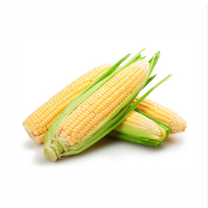 ข้าวโพดเหลืองคุณภาพพรีเมียมขายส่งราคาดีที่สุด เกรดอาหาร คุณภาพสูงสุด ผู้ผลิตส่งออก - Product Image 1