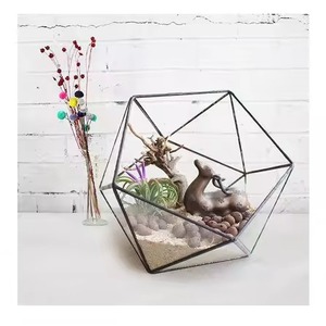 Terrarium moderne en verre et métal, boîte de présentation décorative pour plantes d'intérieur, décoration de la maison - Product Image 2