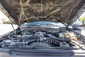 Ford F-250 Super Duty Platinum Tremor 4x4 2022 - Product Image 5