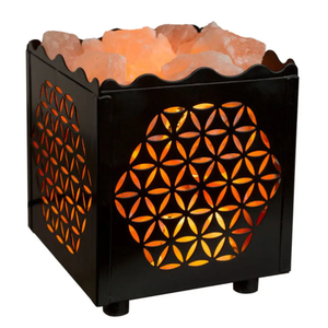 Lámpara Eléctrica de Sal Rosa del Himalaya Natural en Caja de Acero CNC, con Cable Regulable, Decoración para el Hogar, Purificador de Aire para Sala de Masajes y Desintoxicación - Product Image 1