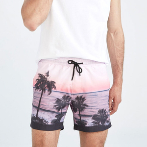 Shorts de bain pour hommes à imprimé paysage tropical, séchage rapide, taille élastique, pour l'été et les vacances, OEM - Product Image 1