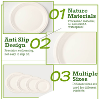 Assiettes jetables modernes en bagasse de canne à sucre compostables pour la maison, les restaurants et les repas quotidiens