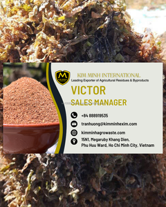 Algues sargasses de qualité supérieure – Ingrédient alimentaire marin naturel en provenance du Vietnam - Product Image 6