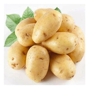 Pommes de terre biologiques fraîches de haute qualité pour la restauration, les hôtels et l'industrie agroalimentaire - Product Image 4