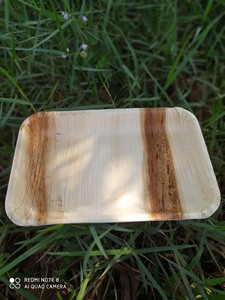 [HOT SELLING] | Bulk 10 Inch Palm Leaf <b>Disposable</b> Compostable Biodegradable Plates For Food Catering <b>BBQ</b> Party Vietnam - Product Image 5