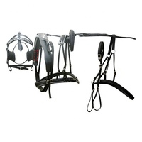 Ensemble de harnais pour chevaux