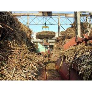 Gia น้ำตาลทรายหมักกากชานอ้อยใช้สำหรับเติมอาหารสัตว์เวียดนาม - Product Image 5