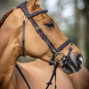 Bridas de Cuero para Caballo con Cabezal Curvado Ligeramente, de Calidad Exclusiva, Hechas en Pakistán - Product Image 6