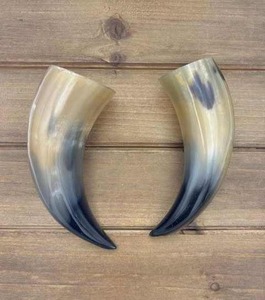 Premium Handmade Viking Drinking Horn Polished Animal Carving Medieval Mug Eco-Friendly Decor - Product Image 5