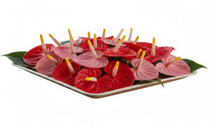 Plato Plano Redondo de Bambú, Diseño Clásico Sólido, Biodegradable, Duradero, Platos Desechables para Fiestas, 10 x 10 Pulgadas - Product Image 5