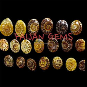Cabochons d'ammonites naturelles, cristaux polis uniques, pierres précieuses en vrac, sans traitements, certifiées par un tiers, toutes formes et tailles pour - Product Image 2