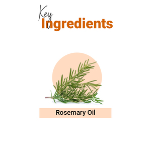 Agua Capilar de Romero de Alta Calidad para Revitalizar el Cuero Cabelludo, Nutrir y Cuidar el Cabello a un Precio Accesible - Product Image 5