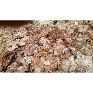 Boules de caoutchouc naturel en latex pour la transformation industrielle et l'exportation de caoutchouc - Product Image 3