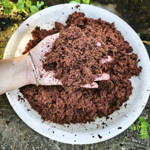 Bloque de Turba de Coco Ecológico Natural, Turba de Coco Orgánica de 5 kg para Jardinería y Cultivo Hidropónico - Product Image 2