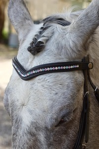 สายคาดหน้าผากม้าหนังแท้ประดับคริสตัล Annabelle Equestrian ขายดี คุณภาพสูง ผู้จัดจำหน่ายสายคาดหน้าผากม้า ขายส่ง Preciosa - Product Image 3