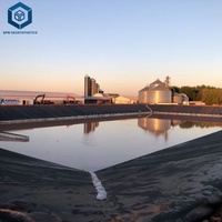 Géomembrane en HDPE de 60 mil à haute résistance à la perforation pour le renforcement des fondations dans la construction routière