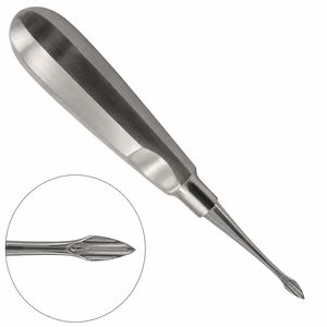 Elevador de Raíces Curvo Grande Manual de Acero Inoxidable Quirúrgico, Instrumento de Extracción Dental, Herramienta para Cirugía Oral - Product Image 3