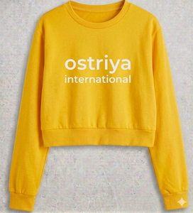 2026 Custom Women Oversize Turtleneck Lightweight Solid Fleece 100% Cotton Winter 3D Embroidery Streetwear <b>Drop</b>-shoulder - Product Image 2