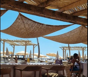 Natural Coconut Fiber Patio Shade | Coconut Privacy Curtain & Sunshade Sail for Outdoor Garden Balcony Resort | Vietnam Supplier - Product Image 4