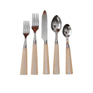 Juego de cubiertos de plata de 5 piezas de calidad superior, cuchara de acero inoxidable con mango de resina para hotel y restaurante - Product Image 1