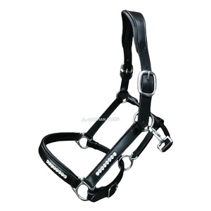 Top Trending English Saddle ODM Cuero Caballo Anatómico Halter Fancy Cosido Levantado Browband Noseband Suave Cómodo Acolchado - Product Image 4