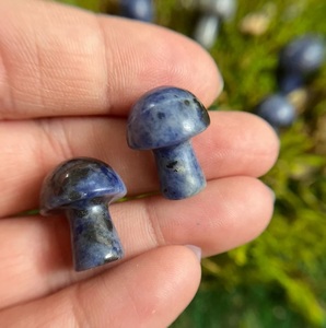 Sculpture de champignon en sodalite naturelle, cristal de guérison en sodalite bleue pour la méditation Reiki, décoration Feng Shui, vente en gros - Product Image 6