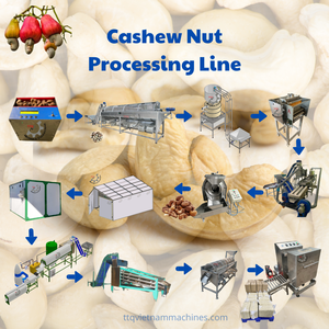 เครื่องแปรรูปเม็ดมะม่วงหิมพานต์ 5 ตัน/วัน กึ่งอัตโนมัติ สำหรับเม็ดมะม่วงหิมพานต์ดิบ เกรดอาหาร ผลิตจากสแตนเลส ผู้ผลิตจากเวียดนาม - Product Image 1