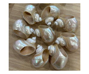 Export Quality Natural Shell <b>Spoon</b> Vietnam Origin - Seashell Utensil For Dining And <b>Serving</b> Display - Product Image 3