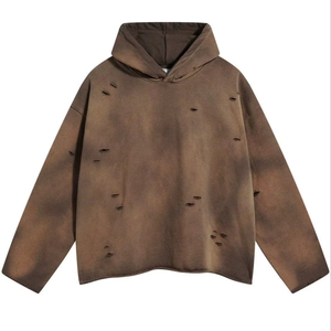 Sudadera con Capucha Unisex de Alta Calidad, Talla Grande, Algodón Grueso, Sudadera Personalizada para Hombre con Estampado y Capucha - Product Image 1