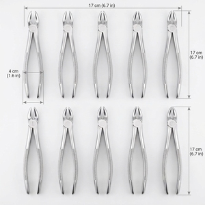 DETAIN IMPEX Ensemble de 10 forceps d'extraction dentaire, instruments chirurgicaux manuels, certifiés CE Classe I ISO13485 - Product Image 2