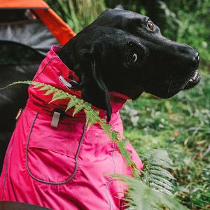 Gilet Sportivo Impermeabile e Caldo per Cani di Piccola Taglia, Giacca Regolabile con Cordoncino, Abbigliamento Rosa, Taglia 5XL - Product Image 3