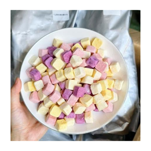 โยเกิร์ตฟรีซดราย 99 GOLD DATA ขนมขบเคี้ยวและของหวานแช่แข็ง รุ่นคาตาเรีย รสหวาน ขนาด 1 กก. บรรจุภัณฑ์แบบแพ็คใหญ่ - Product Image 1