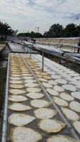 En promotion : Tube de ventre de poisson pangasius séché (type papillon) // HAUTE QUALITÉ 2026