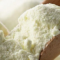 Nutrition Premium, Lait en Poudre Instantané Lyophilisé Entièrement Gras Savoureux, Formule pour Bébés et Enfants, Lait en Poudre Écrémé au Chocolat en Vrac