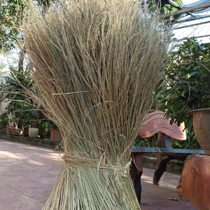 Vietnam Supplier Grass Thatch Roofing Natural Dried Grass Panels for Hotel Resort Roof Cover Outdoor Construction - Product Image 1