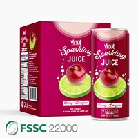 Voor VINUT Vietnam Fabriek 320ml Kokos Sprankelende Sap Zuurzak Passievrucht Mango Watermeloen Ananas Fruit Groente Sap Privé