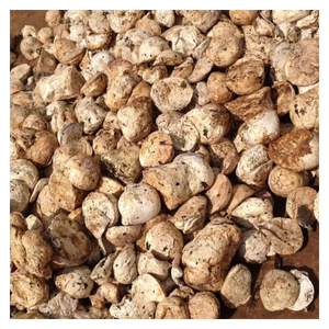 Boulets de caoutchouc de haute qualité, matériau en caoutchouc naturel durable pour la fabrication de produits industriels - Product Image 4