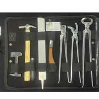 Kit d'outils vétérinaires équin professionnel pour fermeurs de chevaux, comprenant coupe-ongles, pince à crins, cisaille à sabots, marteau, couteau, râpe, etc.