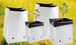 Sacs de culture Opentop 15 litres avec couvertures traitées anti-UV 2 ans et cocopeat - Product Image 3