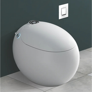 Wismart 103 <b>Smart</b> <b>Toilet</b> with S-Trap Drainage Floor Mounted Ceramic Material Automatic Operation & Night Light - Product Image 2
