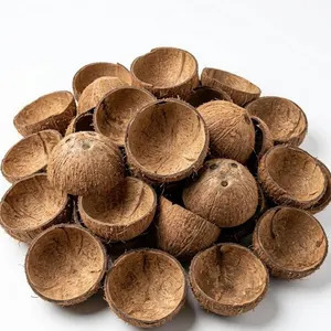 เปลือกมะพร้าวดิบ - Product Image 4