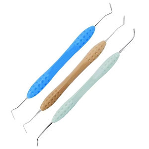 Juego Profesional de 10 Instrumentos Quirúrgicos Dentales para Resina Compuesta, con Mangos de Silicona Antideslizantes, para Restauraciones - Product Image 2