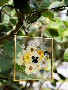 Cadre photo mural flottant en métal doré, double vitrage, pour fleurs pressées, décoration murale moderne, fournisseur en gros de cadres - Product Image 1