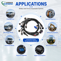 Faisceau de câblage moteur automobile DC 12V 24V IP67 multi-prises étanche pour véhicules et équipements de construction, personnalisable OEM
