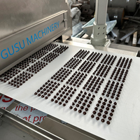 Machine automatique GUSU pour la fabrication de pépites de chocolat