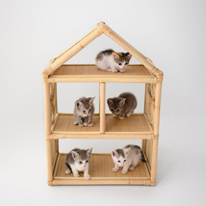 Casitas de muñecas de ratán hechas a mano, pequeñas miniaturas de casas para muñecas, juguetes para niños y bebés. - Product Image 4