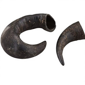 Premium Buffalo Horn Dog Chew – Natural Eco-Friendly Long Lasting Chew Toy for Aggressive Chewers by madiha art and crafts - Product Image 5